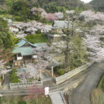 円城寺